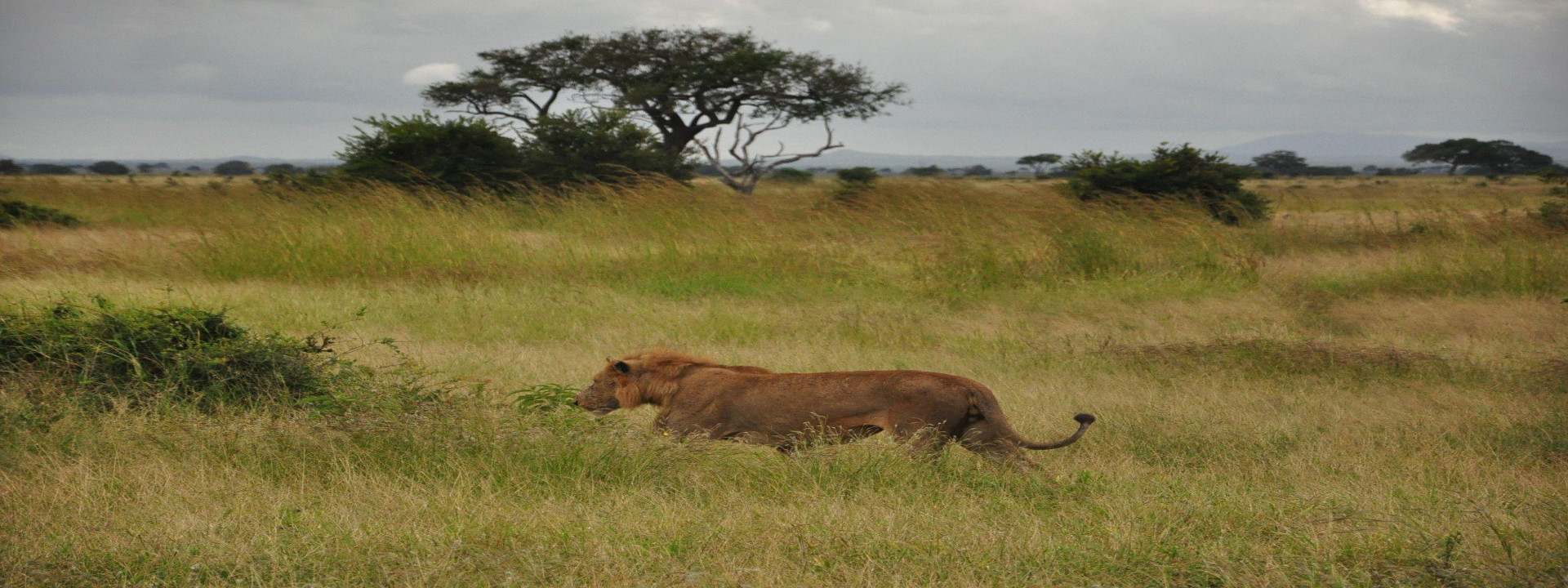 Swahili Tribe Tours - Best Zanzibar Taxi and Tours - Spice tour