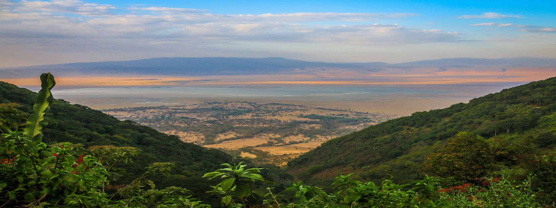 Swahili Tribe Tours - Taxi and Tours - Zanzibar Ngorongoro Conservation